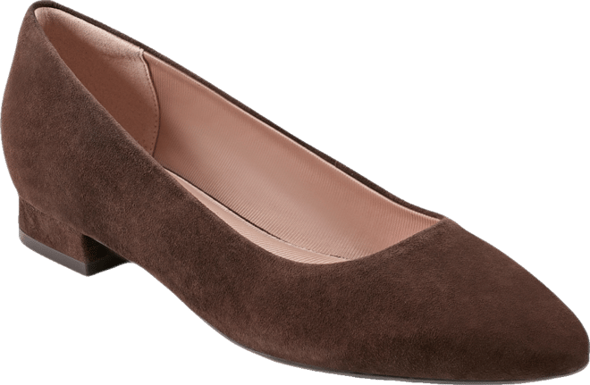 Women's Tessa Total Motion Pointy Toe Dress Flats