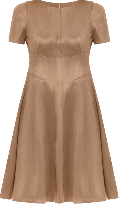 Women's Fit and Flare Short Dress