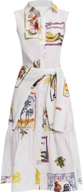 Women's Shirt dress postcards