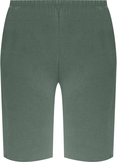 Plus Size Within Stretch Cotton Bike Short