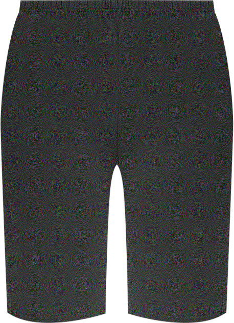 Plus Size Within Stretch Cotton Bike Short