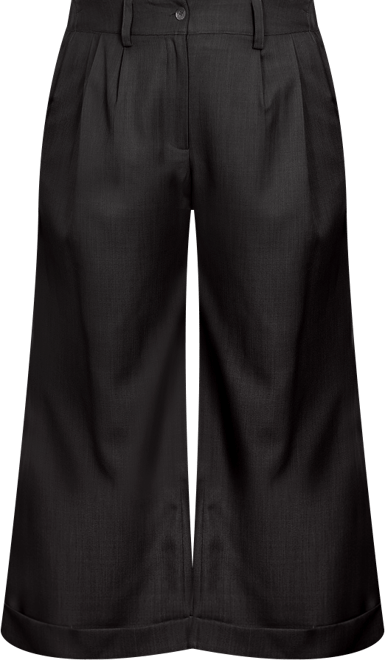 Plus Size Pleated Front Cropped Wide Leg Pants