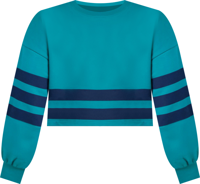 Women's Plus Size Boxy Cropped Sweatshirt