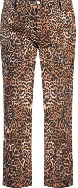 Plus Size Printed Lexington Straight-Leg Pants