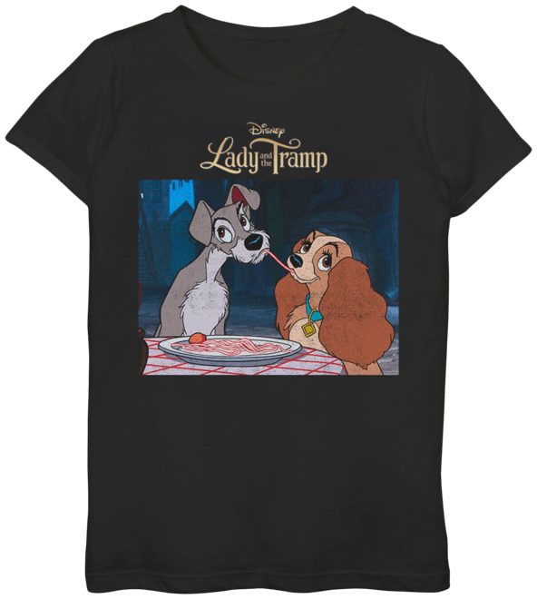 Lady And The Tramp Fleece Blanket For Kid Baby Adults, Disney Home