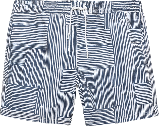 Men's Multi-Striped Swimsuit