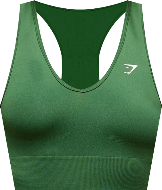 Apex Seamless Leggings