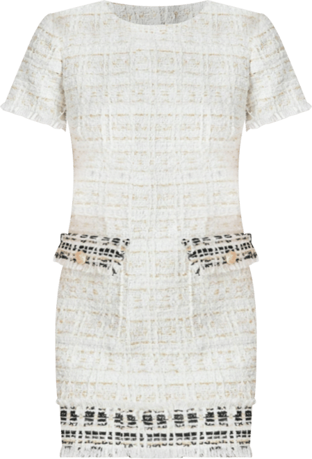 Women's Tweed Fringed Mini Dress
