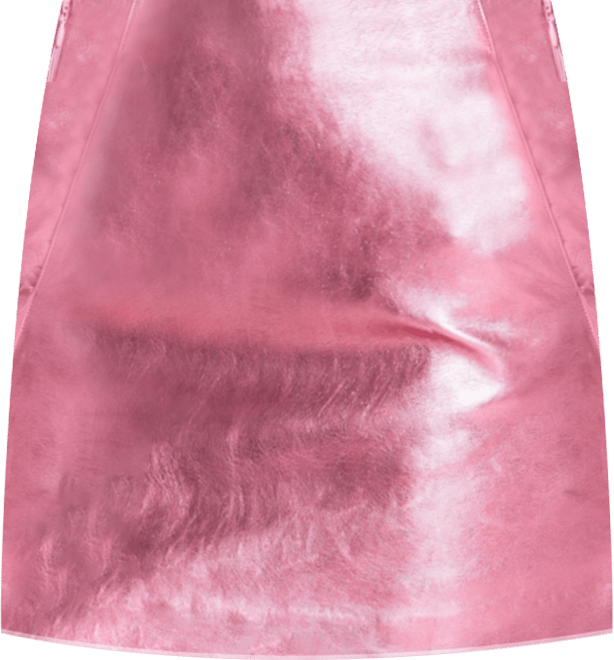 Women's Metalic Skirt