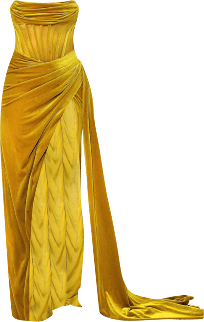Women's Priya Gold Draping Corset High Slit Velvet Gown