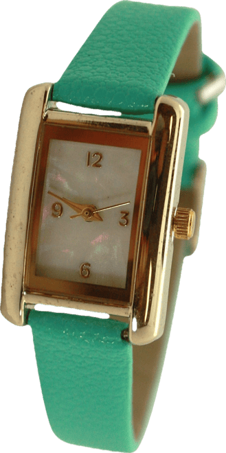 Mint Thin Gold Square Face Solid Faux Leather Women Watch