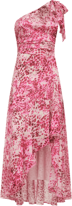 Women's Asymmetrical Animal-Print Dress