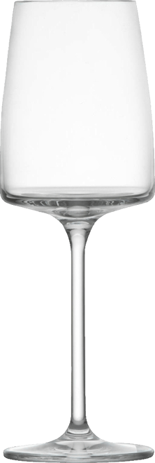 Sensa Red and White Wine Glasses, Set of 8