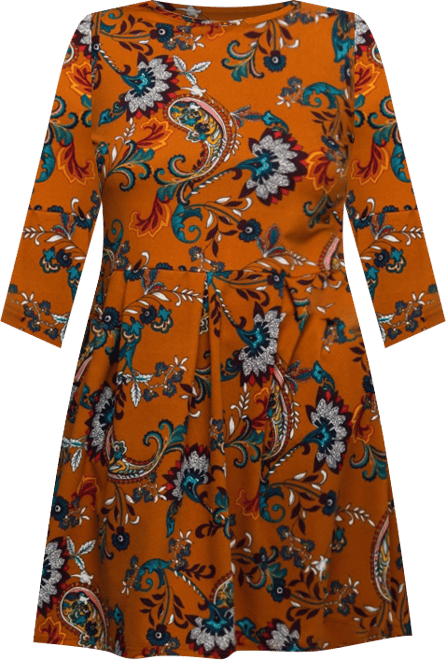 Plus Size Rust Paisley Print Fit Flare Knee Length Dress