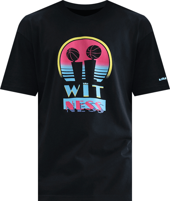 LeBron "Miami Twice" Playera de básquetbol Max90 para hombre