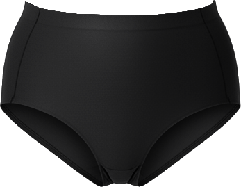 Women's Sheer Control Briefs
