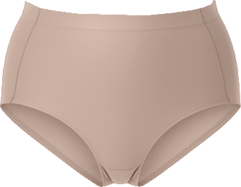 Women's Sheer Control Briefs