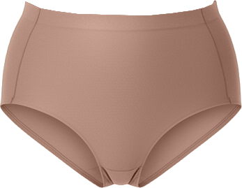 Women's Sheer Control Briefs