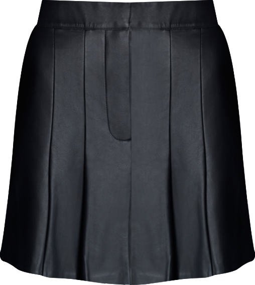Women's Pleated Mini Skirt