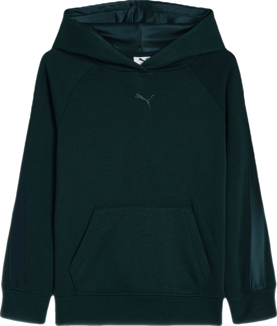 PUMA Essentials Satin Little Kids' Fleece Hoodie