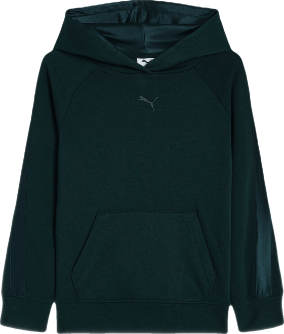 PUMA Essentials Satin Big Kids' Fleece Hoodie