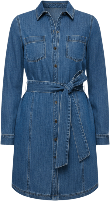 Women's Denim Lea Shirtdress