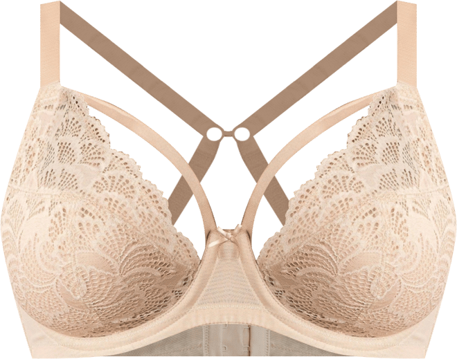 Women's Olivia Lace Unlined Bra
