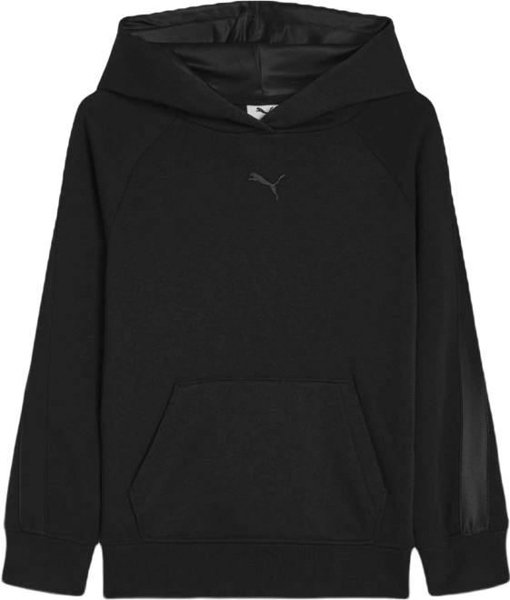 PUMA Essentials Satin Big Fleece Hoodie, Kids