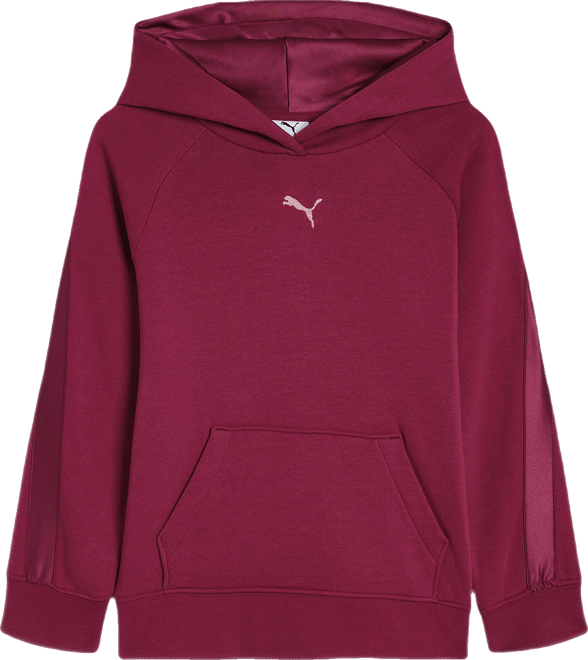 PUMA Essentials Satin Big Fleece Hoodie, Kids