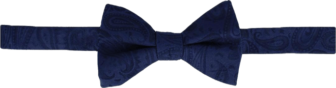 Men's Banbury Tone on Tone Paisley Silk Bow Tie
