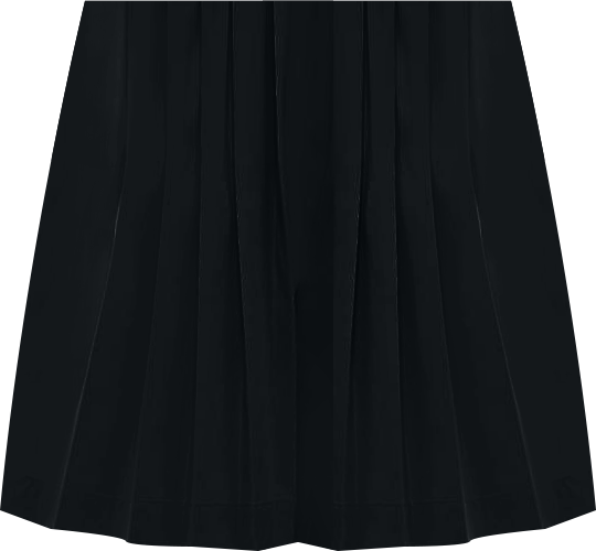 Nike Sportswear Women's Pleated Skirt