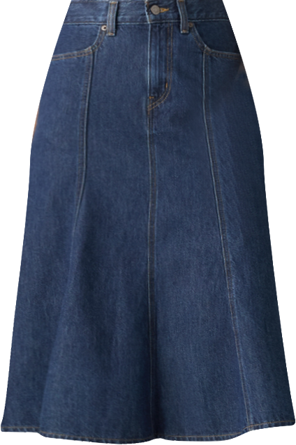 Women's Fit and Flare High Rise Skirt