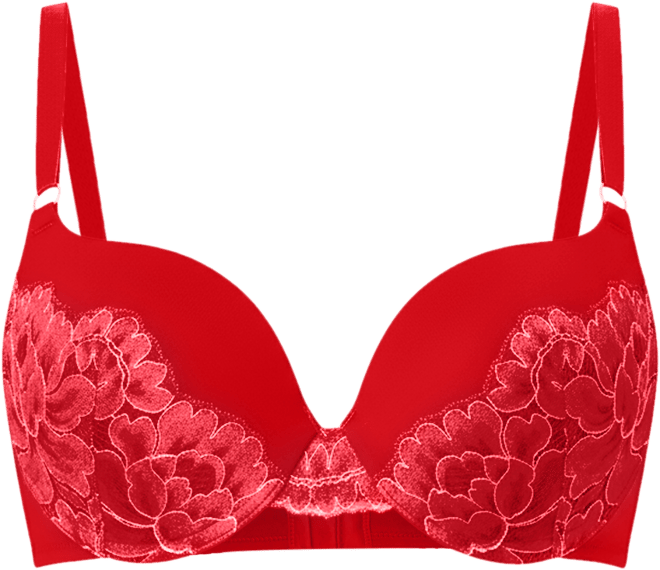 Love the Lift Rose Gold Lace Push Up Bra DM9900