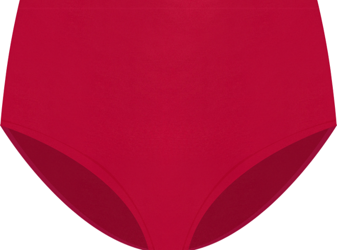 Women's Bliss Bare Cotton High Cut Brief