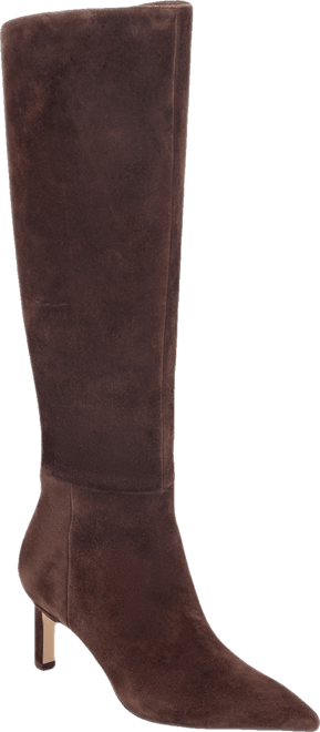 Women's Esmee Tall Pointy Toe Dress Boots