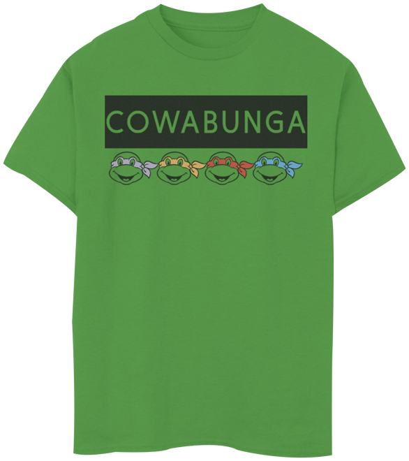 Kids Teenage Mutant Ninja Turtles Group Graphic Tee