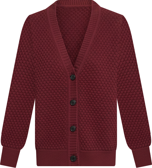 Women's Snowflake Long Sleeve Cardigan Sweater