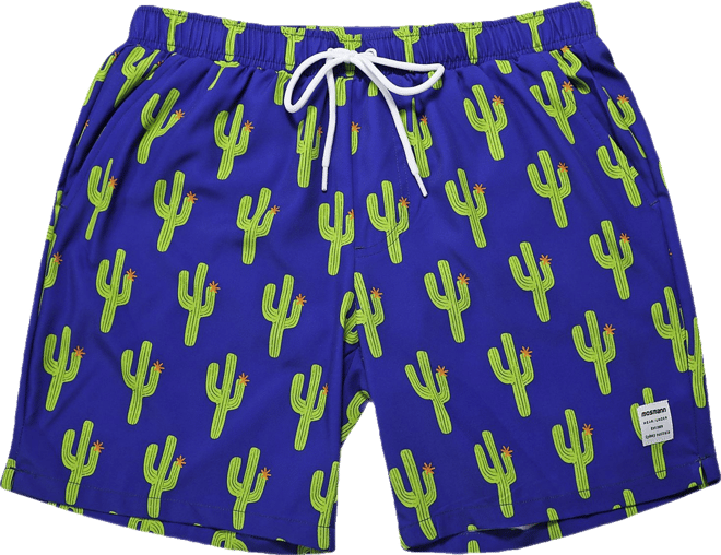 Men's Swim Shorts