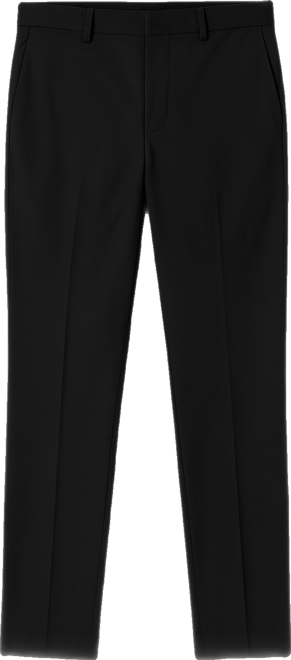 Buy Van Heusen, Van Heusen Mens Flat Front Slim Dress Pants Online - Bealls  Florida