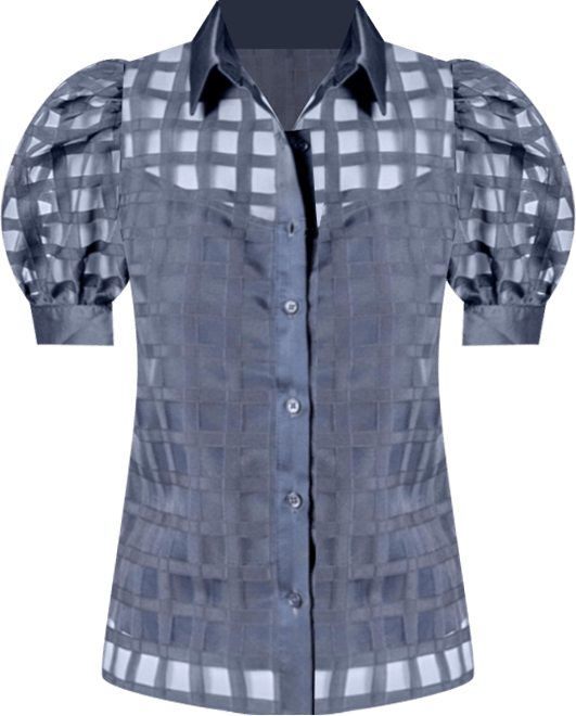 Women's Short Sleeve Organza Grid Blouse