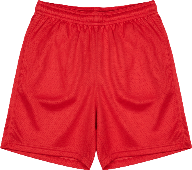Women's Mesh Gym Shorts