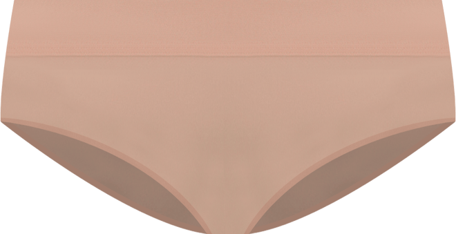 Women's Nude Shade Mesh Hipster Bikini Panty