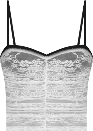 Womens Eleanor Bra Detail Sheer Lace Top