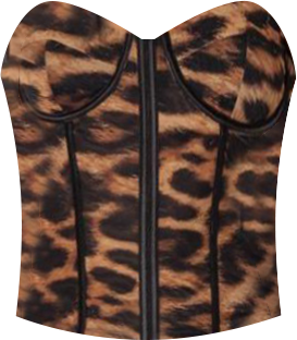 Women's Lennox Leopard Print Mesh Corset Top