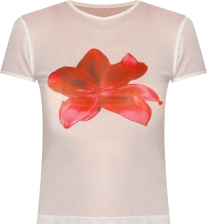 Women's Aloha Sheer Mesh T Shirt