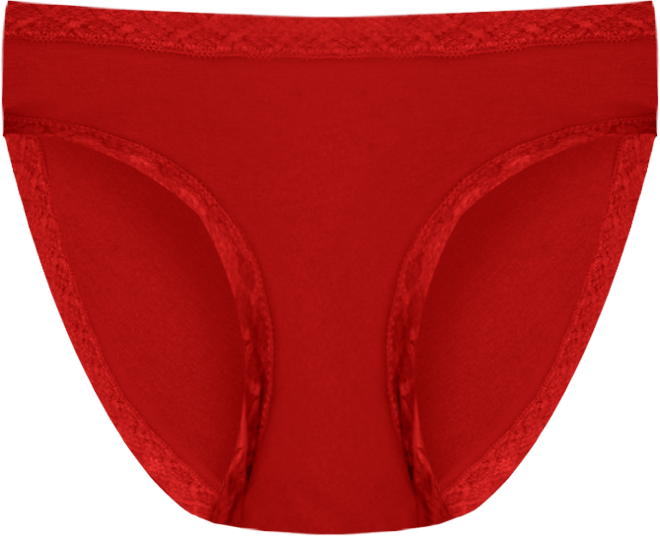 Bliss Lace-Trim Cotton Brief Underwear 156058