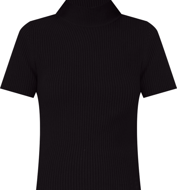 Women's Short Sleeve Turtleneck Sweater