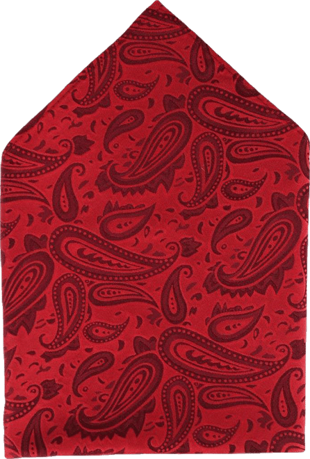 Men's Banbury Tone on Tone Paisley 12 Inch Silk Pocket Square