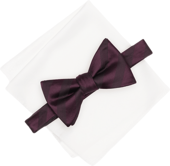 Men's Balaton Stripe Bow Tie & Solid Pocket Square Set, Exclusively at Macy's