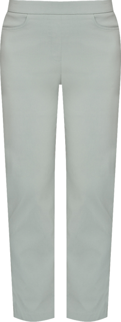 Petite Stockbridge Modern Millennium Average Length Pants